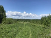 Земельные участки (123 шт.) - 149 654 +/- 1 284 кв. м, адрес: Пермский край, Ильинский р-н, тер. Некрасова урочище, земли сельскохозяйственного назначения - для садоводства