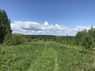 Земельные участки (123 шт.) - 149 654 +/- 1 284 кв. м, адрес: Пермский край, Ильинский р-н, тер. Некрасова урочище, земли сельскохозяйственного назначения - для садоводства