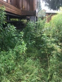 Двухэтажный деревянный дом площадью 92,9 кв. м, расположенный на земельном участке - 600 кв. м. в дер. Медведково Волоколамского района МО
