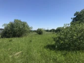 Земельный участок с/х назначения - 29 973 +/- 61 кв. м, адрес: местоположение установлено относительно ориентира, расположенного за пределами участка, почтовый адрес ориентира: Пермский край, Ильинский р-н, Филатовское с. п. ур. «За Решетниками»