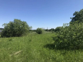 Земельные участки (4 шт.) - 8 276 кв. м +/-27 кв. м, почтовый адрес ориентира: Пермский край, Ильинский район, СХП им. Никольского, урочище «Бичевка», земли сельскохозяйственного назначения - для садоводства
