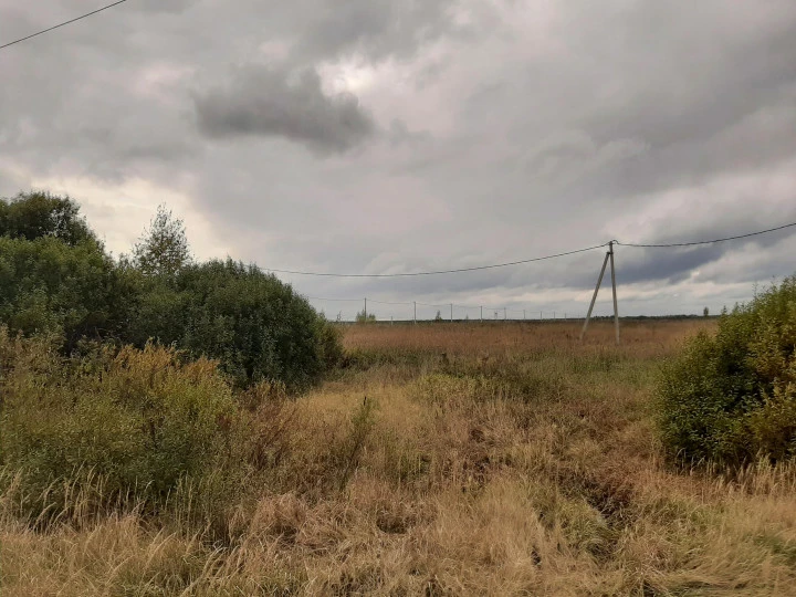 Конгломерат ЗУ общей площадью 0,5 Га