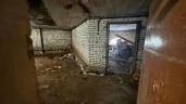 Нежилое помещение 224,7 кв.м. в Павловске