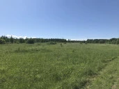 Земельный участок с/х назначения - 29 973 +/- 61 кв. м, адрес: местоположение установлено относительно ориентира, расположенного за пределами участка, почтовый адрес ориентира: Пермский край, Ильинский р-н, Филатовское с. п. ур. «За Решетниками»