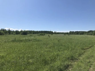 Земельный участок с/х назначения - 29 973 +/- 61 кв. м, адрес: местоположение установлено относительно ориентира, расположенного за пределами участка, почтовый адрес ориентира: Пермский край, Ильинский р-н, Филатовское с. п. ур. «За Решетниками»