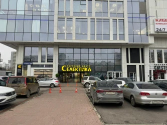 Нежилое помещение 1100 кв.м офисного назначения, расположенное в торгово-офисном центре "Селектика" на Варшавском шоссе г. Москвы.