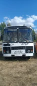 Автобус ПАЗ-3205