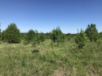 Земельный участок (земли населенных пунктов) - 1 250 +/- 10 кв. м, адрес: Пермский край, Добрянский р-н, с. п. Краснослудское, д. Городище, кадастровый номер 59:18:3630101:4254