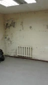 Нежилое помещение, общей площадью 256,1 кв. м, расположенное по адресу: Свердловская обл, Березовский, Гагарина ул, дом 9
