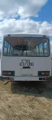 Автобус ПАЗ-3205