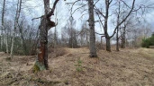 Земельный участок - 154 951 +/- 3 444 кв. м, земельный участок - 16 007 кв. м, адрес: Тверская обл., Зубцовский р-н, с/пос Зубцовское, вблизи д. Давыдково, д. Гармоново