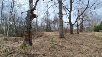 Земельный участок - 154 951 +/- 3 444 кв. м, земельный участок - 16 007 кв. м, адрес: Тверская обл., Зубцовский р-н, с/пос Зубцовское, вблизи д. Давыдково, д. Гармоново