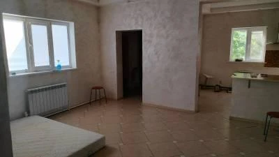 Жилой дом 160 кв.м и З/У - 3387 кв.м по адресу: Самарская область, р-н Безенчукский, с. Никольское, ул. Зеленая Лука, д. 10а