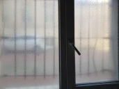 Помещение 53,9 кв.м на Васильевском о-ве