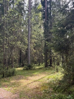 Продажа участков в Курортном районе СПБ