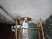 Нежилое здание площадью 8,8 кв. м, расположенное на земельном участке площадью 12 кв. м на Курляндской улице