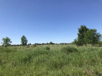 Земельные участки (134 шт.) - 158 721 +/- 1 425 кв. м, адрес: Пермский край, Ильинский р-н, тер. Накатаево урочище, земли сельскохозяйственного назначения - для садоводства