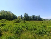 Земельный участок 12,8 га в Калининградская обл.