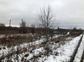 Земельный участок 5,6 Га в пос. Воротынск Калужской области (ПАО «ТрансКонтейнер»)