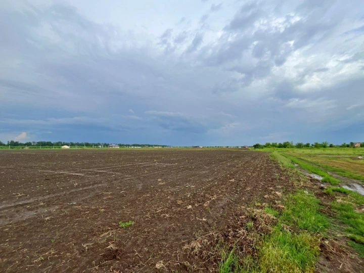 Земельный участок под аграрный бизнес в пригороде г. Краснодара.