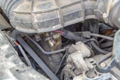 CHEVROLET NIVA, 212300; 2008 года выпуска, идентификационный номер (VIN): X9L21230080245504