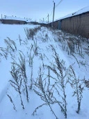 Нежилые здания 3 437,8 кв. м, железнодорожный путь - протяженность 440 м.: Оренбургская обл., р-н Соль-Илецкий, г. Соль-Илецк, ул. Орская, дом 113/1,  ЗУ - 23 094 +/-53 кв. м, по адресу: г. Соль-Илецк, ул. Орская, дом 113/1