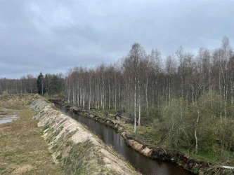 Земельный участок под ИЖС во Всеволожском районе Ленинградской области