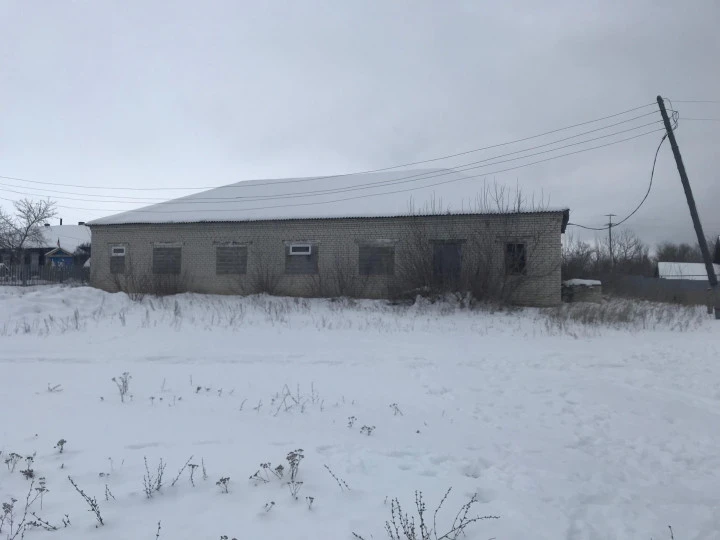 Продажа здания 271,7 кв. м с земельным участком 372 кв. м в с. Скугареевка Ульяновской области