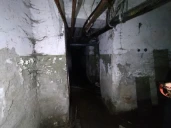 нежилые помещения подвала девятиэтажного жилого здания, общей площадью 232,6 кв. м, расположенное по адресу: Башкортостан Респ, Уфа, Блюхера ул, дом 27/2