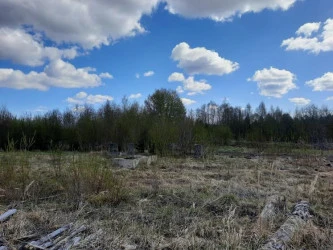Нежилое здание (станочный цех с пристройкой, 1-этажное, полностью разрушено) - 612,8 кв. м, нежилое здание (котельная, 2-этажное, полностью разрушено) - 282,8 кв. м,  зем. участок - 24 264 +/- 109 кв. м: Вологодская обл., Грязовецкий р-н, с/а Лежская