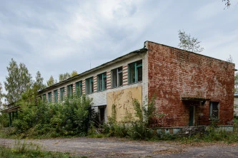 Имущественный комплекс в составе 3 зданий и земельного участка в с. Аламасово Нижегородской области