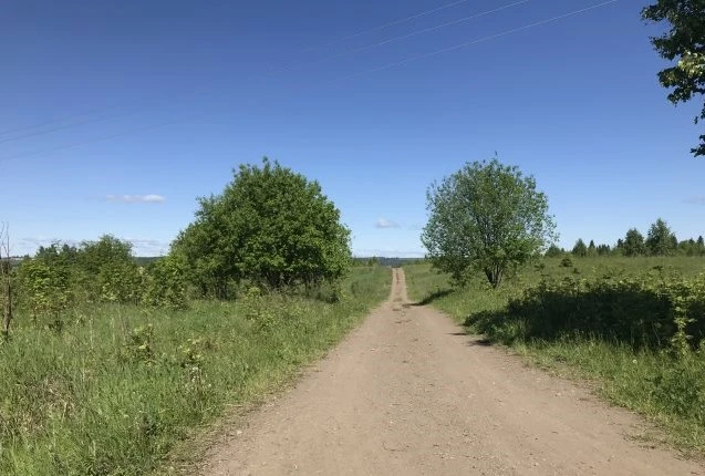 Земельные участки (134 шт.) - 158 721 +/- 1 425 кв. м, адрес: Пермский край, Ильинский р-н, тер. Накатаево урочище, земли сельскохозяйственного назначения - для садоводства