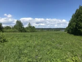 Земельные участки (20 шт.) - 34 113 +/- 365 кв. м, адрес: Пермский край, Ильинский р-н, Филатовское с.п. СХП им. Никольского, урочище «Боричи», земли сельскохозяйственного назначения - для садоводства