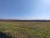Земельный участок под аграрный бизнес в пригороде г. Краснодара.