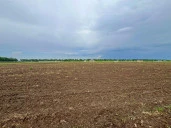 Земельный участок под аграрный бизнес в пригороде г. Краснодара.