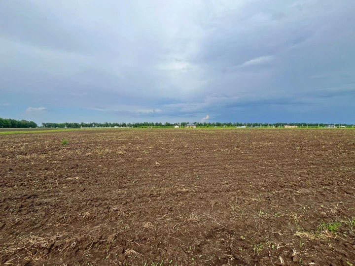 Земельный участок под аграрный бизнес в пригороде г. Краснодара.