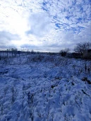 Земельный участок, 1042 кв.м, Ростовская область,
