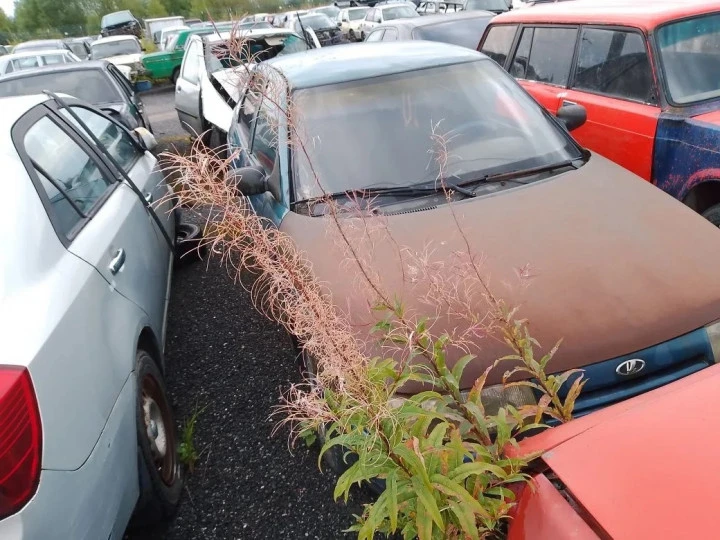 Транспортное средство  ВАЗ 21124 Год выпуска  н/д Цвет кузова - синий Государственный регистрационный знак А341СК178 (VIN  н/д)