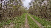Земельный участок 12 соток в Талдомском районе, МО