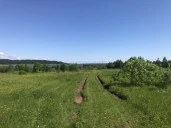 Земельный участок с/х назначения - 29 973 +/- 61 кв. м, адрес: местоположение установлено относительно ориентира, расположенного за пределами участка, почтовый адрес ориентира: Пермский край, Ильинский р-н, Филатовское с. п. ур. «За Решетниками»