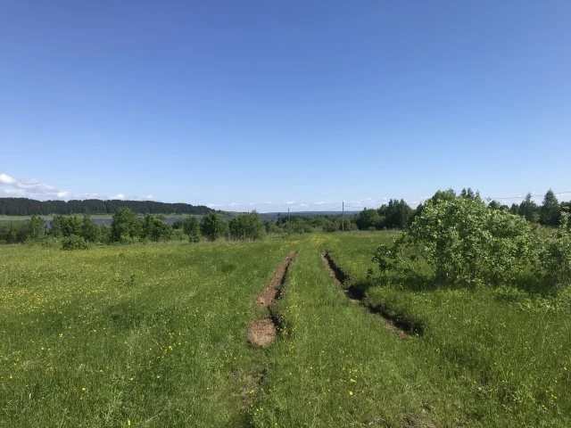 Земельный участок с/х назначения - 29 973 +/- 61 кв. м, адрес: местоположение установлено относительно ориентира, расположенного за пределами участка, почтовый адрес ориентира: Пермский край, Ильинский р-н, Филатовское с. п. ур. «За Решетниками»