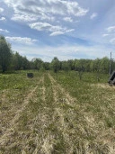 Земельные участки (16 поз.) - 52 310 +/- 162 кв. м, адрес: Ярославская обл., Переславский р-н, с/о Глебовский, вблизи д. Большое Пальцино, ДНП «Союз дачников», земли сельскохозяйственного назначения - для ведения дачного хозяйства