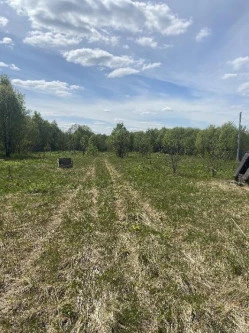 Земельные участки (16 поз.) - 52 310 +/- 162 кв. м, адрес: Ярославская обл., Переславский р-н, с/о Глебовский, вблизи д. Большое Пальцино, ДНП «Союз дачников», земли сельскохозяйственного назначения - для ведения дачного хозяйства