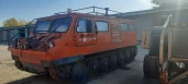 Снегоболотоход ТТС-34017