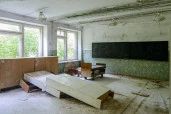 Имущественный комплекс в составе 3 зданий и земельного участка в с. Аламасово Нижегородской области