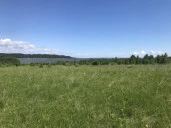 Земельный участок с/х назначения - 29 973 +/- 61 кв. м, адрес: местоположение установлено относительно ориентира, расположенного за пределами участка, почтовый адрес ориентира: Пермский край, Ильинский р-н, Филатовское с. п. ур. «За Решетниками»