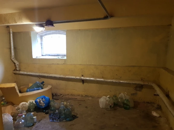 Нежилое помещение 30 кв.м. в Павловске