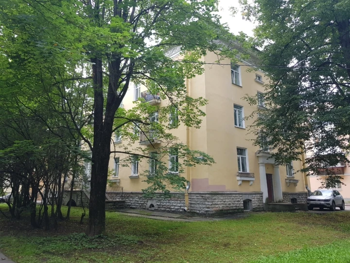 Нежилое помещение 30 кв.м. в Павловске