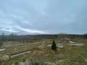 Земельный участок под ИЖС во Всеволожском районе Ленинградской области