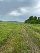 Земельные участки (136 шт.) общей площадью 361 187 кв. м в границах ЗАО «Каменское» Красноярского района  Самарской области
